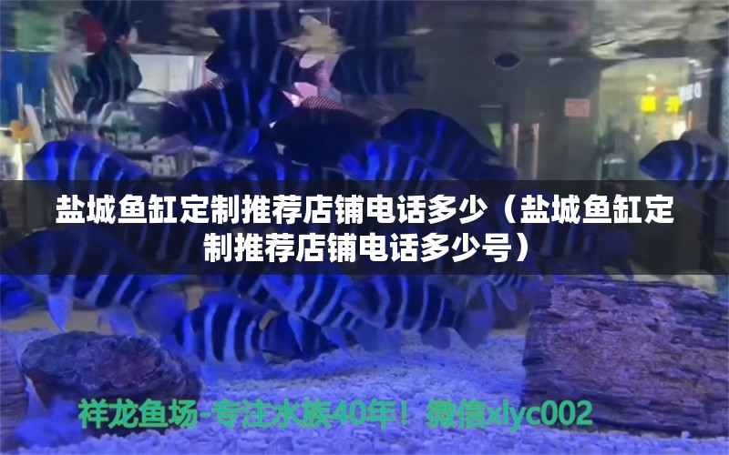 鹽城魚缸定制推薦店鋪電話多少（鹽城魚缸定制推薦店鋪電話多少號(hào)） 其他品牌魚缸