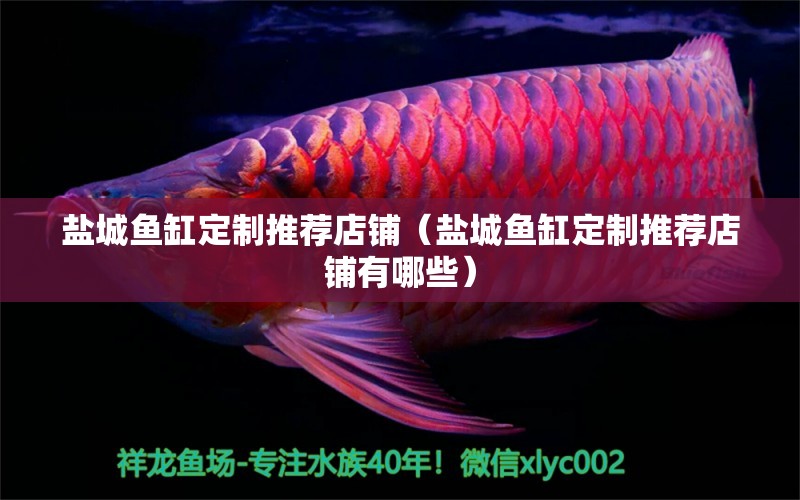 鹽城魚缸定制推薦店鋪（鹽城魚缸定制推薦店鋪有哪些） 泰國虎魚