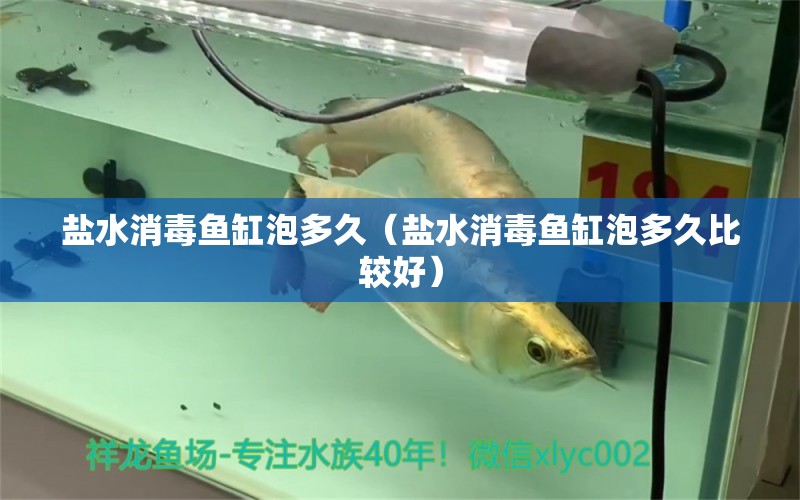 鹽水消毒魚缸泡多久（鹽水消毒魚缸泡多久比較好）