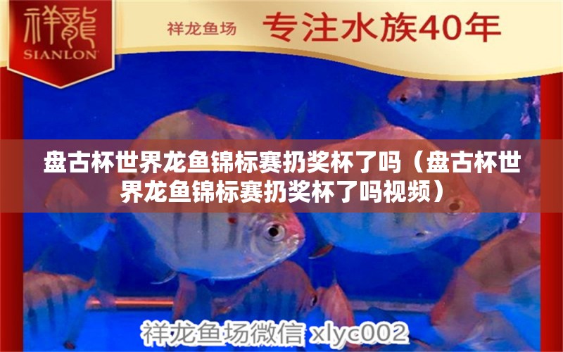 盤古杯世界龍魚錦標(biāo)賽扔獎(jiǎng)杯了嗎（盤古杯世界龍魚錦標(biāo)賽扔獎(jiǎng)杯了嗎視頻）