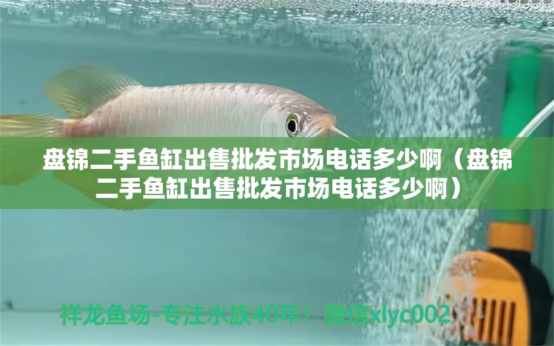 盤(pán)錦二手魚(yú)缸出售批發(fā)市場(chǎng)電話多少?。ūP(pán)錦二手魚(yú)缸出售批發(fā)市場(chǎng)電話多少?。?觀賞魚(yú)市場(chǎng)（混養(yǎng)魚(yú)）