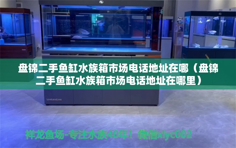 盤錦二手魚(yú)缸水族箱市場(chǎng)電話地址在哪（盤錦二手魚(yú)缸水族箱市場(chǎng)電話地址在哪里）