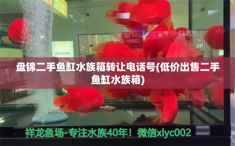 盤錦二手魚缸水族箱轉讓電話號(低價出售二手魚缸水族箱) 魚缸/水族箱