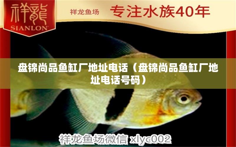 盤錦尚品魚缸廠地址電話（盤錦尚品魚缸廠地址電話號(hào)碼） 觀賞魚市場(chǎng)（混養(yǎng)魚）