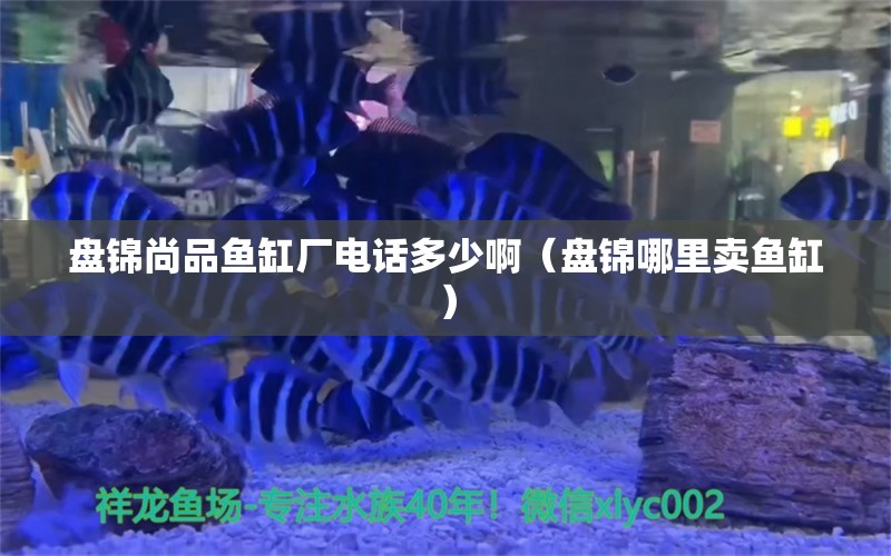 盤錦尚品魚缸廠電話多少?。ūP錦哪里賣魚缸） 定時(shí)器/自控系統(tǒng)