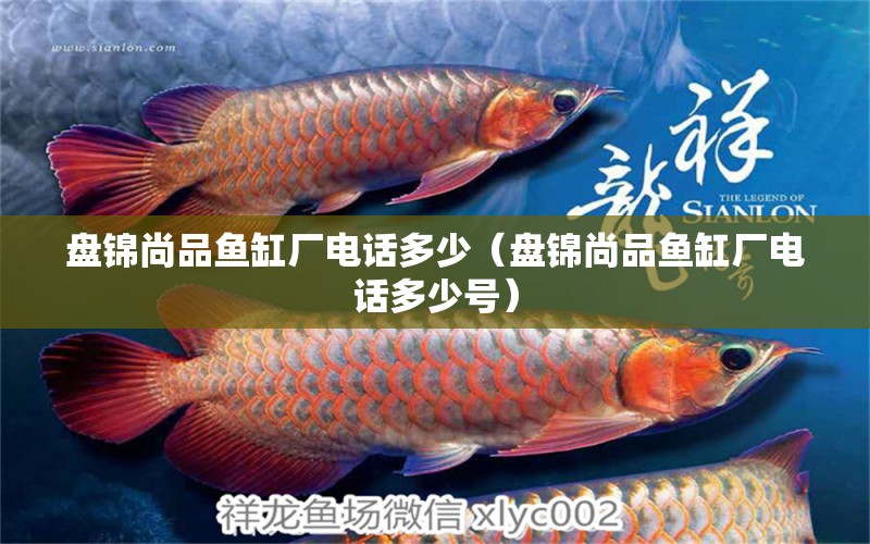 盤錦尚品魚缸廠電話多少（盤錦尚品魚缸廠電話多少號）