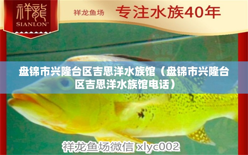 盤錦市興隆臺(tái)區(qū)吉思洋水族館（盤錦市興隆臺(tái)區(qū)吉思洋水族館電話） 全國(guó)水族館企業(yè)名錄