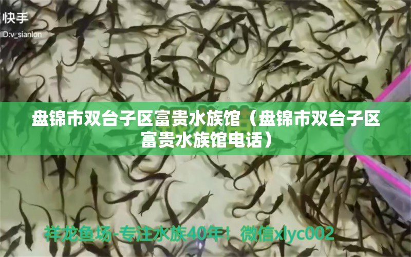 盤錦市雙臺(tái)子區(qū)富貴水族館（盤錦市雙臺(tái)子區(qū)富貴水族館電話） 全國水族館企業(yè)名錄