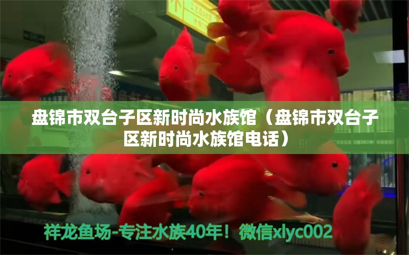 盤錦市雙臺子區(qū)新時尚水族館（盤錦市雙臺子區(qū)新時尚水族館電話） 全國水族館企業(yè)名錄