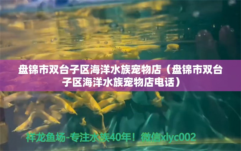 盤錦市雙臺子區(qū)海洋水族寵物店（盤錦市雙臺子區(qū)海洋水族寵物店電話）