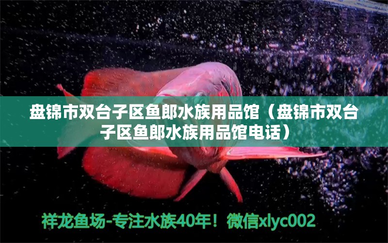 盤錦市雙臺(tái)子區(qū)魚郎水族用品館（盤錦市雙臺(tái)子區(qū)魚郎水族用品館電話） 水族用品