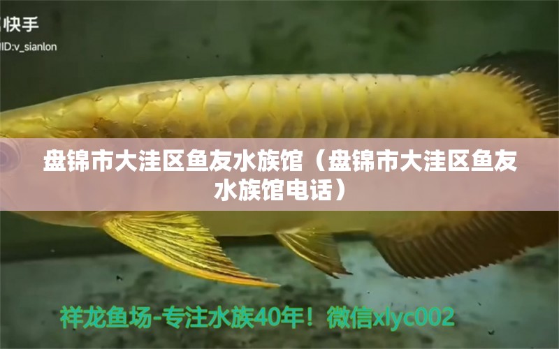 盤錦市大洼區(qū)魚友水族館（盤錦市大洼區(qū)魚友水族館電話）