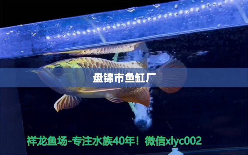 盤(pán)錦市魚(yú)缸廠(chǎng) 其他品牌魚(yú)缸