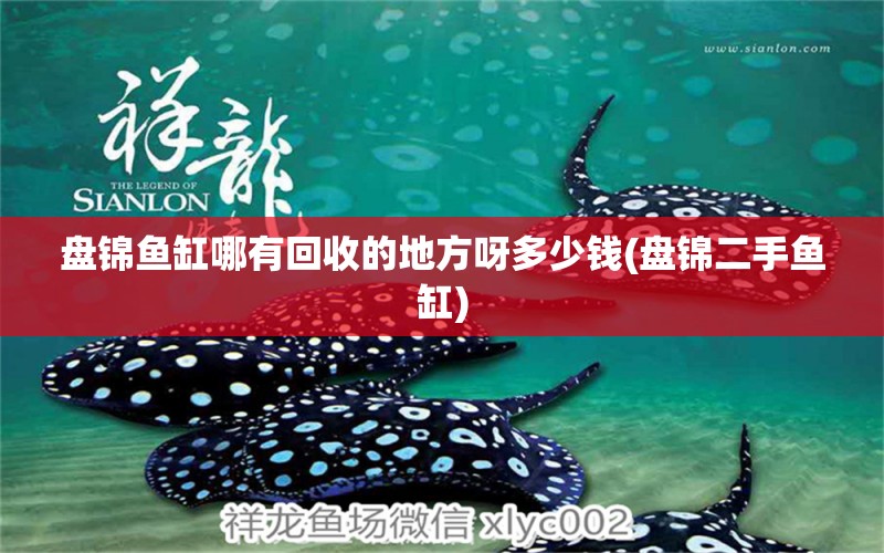 盤錦魚缸哪有回收的地方呀多少錢(盤錦二手魚缸) 印尼四紋虎