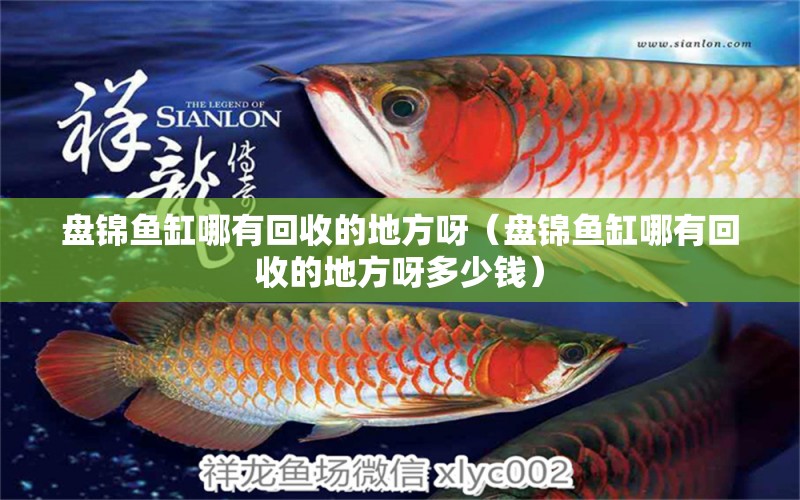 盤錦魚缸哪有回收的地方呀（盤錦魚缸哪有回收的地方呀多少錢）