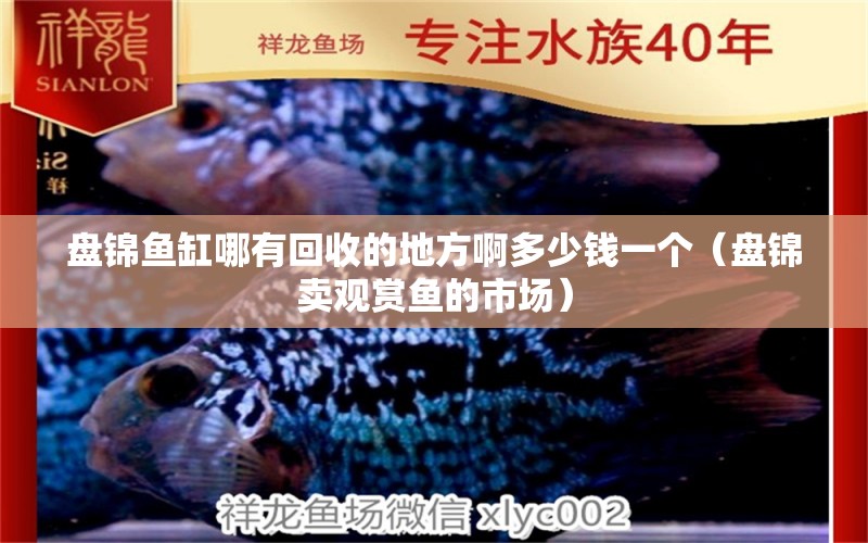 盤錦魚缸哪有回收的地方啊多少錢一個（盤錦賣觀賞魚的市場）