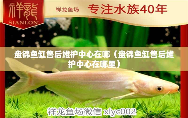 盤錦魚缸售后維護(hù)中心在哪（盤錦魚缸售后維護(hù)中心在哪里）