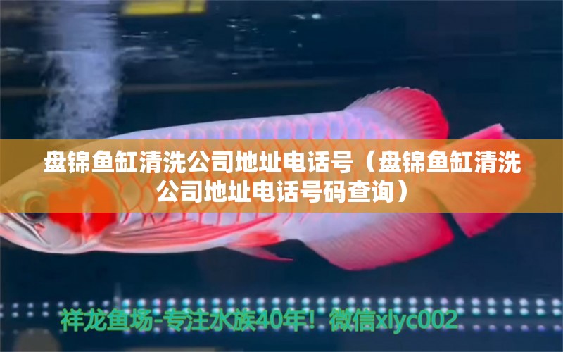 盤錦魚缸清洗公司地址電話號（盤錦魚缸清洗公司地址電話號碼查詢）