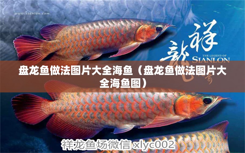 盤(pán)龍魚(yú)做法圖片大全海魚(yú)（盤(pán)龍魚(yú)做法圖片大全海魚(yú)圖）