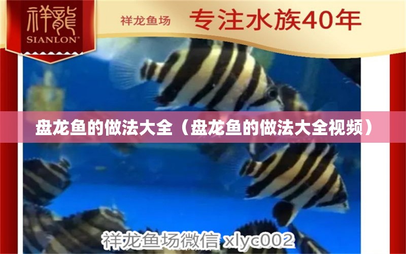 盤龍魚的做法大全（盤龍魚的做法大全視頻）