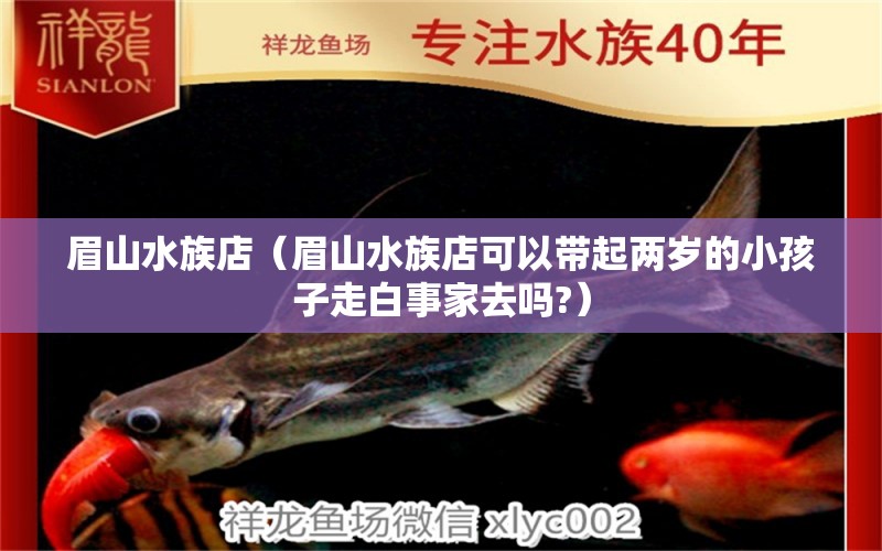 眉山水族店（眉山水族店可以帶起兩歲的小孩子走白事家去嗎?） 觀賞魚市場(chǎng)