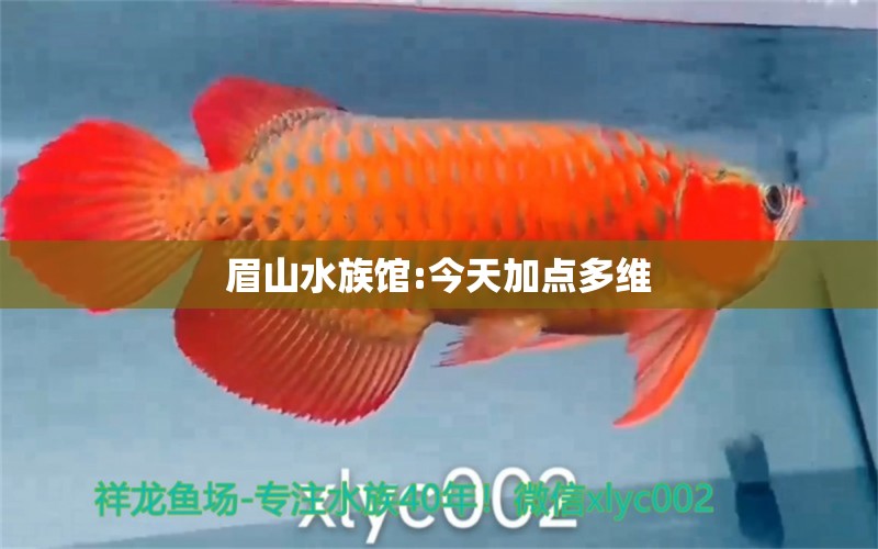 眉山水族館:今天加點(diǎn)多維 觀賞魚飼料