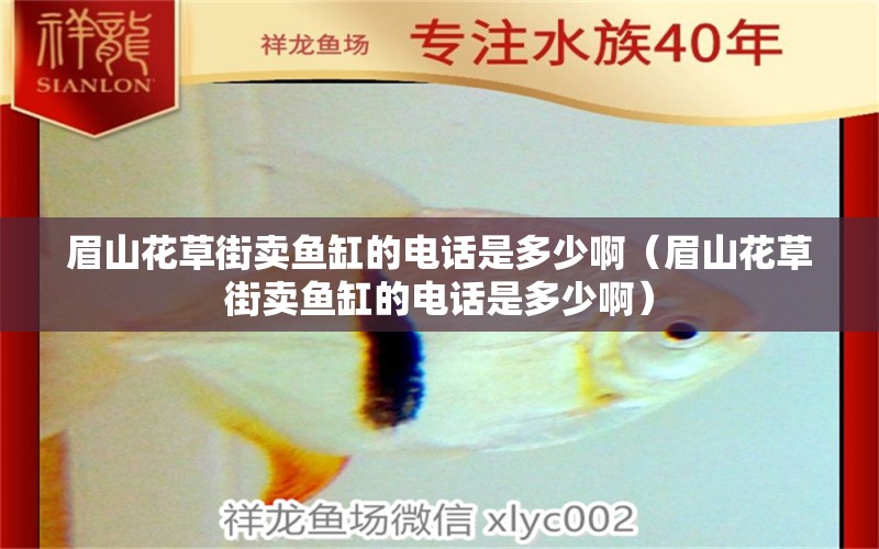 眉山花草街賣魚(yú)缸的電話是多少啊（眉山花草街賣魚(yú)缸的電話是多少?。? title=