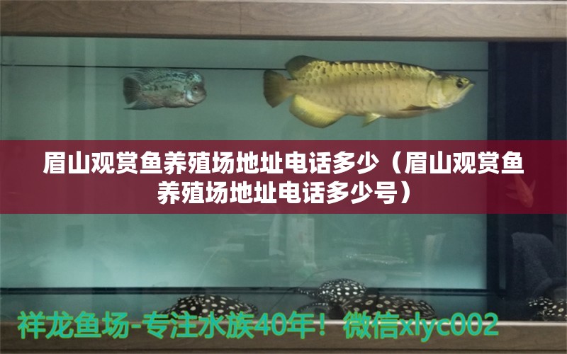 眉山觀賞魚養(yǎng)殖場(chǎng)地址電話多少（眉山觀賞魚養(yǎng)殖場(chǎng)地址電話多少號(hào)）