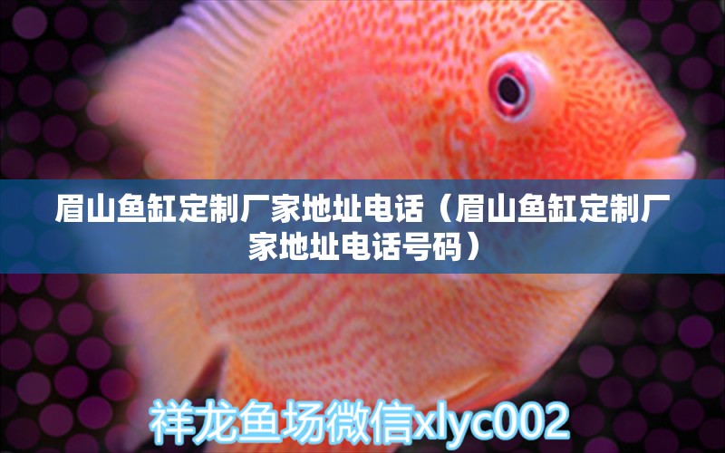 眉山魚缸定制廠家地址電話（眉山魚缸定制廠家地址電話號碼）