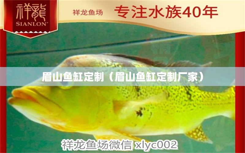 眉山魚缸定制（眉山魚缸定制廠家）