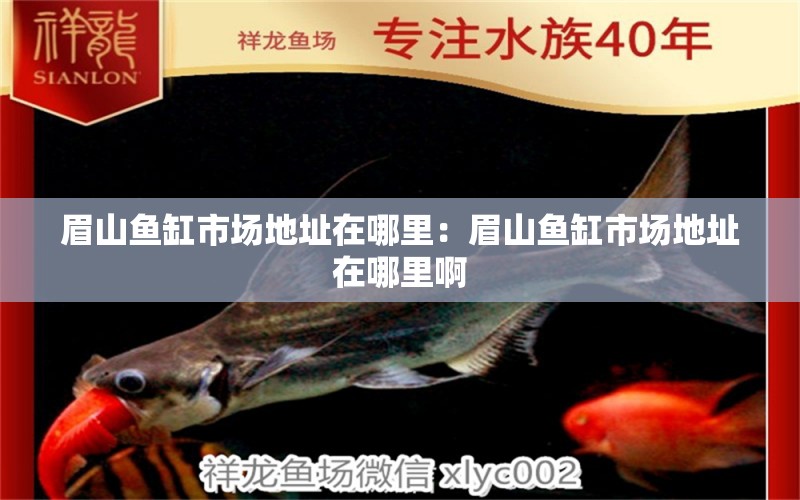 眉山魚(yú)缸市場(chǎng)地址在哪里：眉山魚(yú)缸市場(chǎng)地址在哪里啊 觀賞魚(yú)市場(chǎng)（混養(yǎng)魚(yú)） 第2張