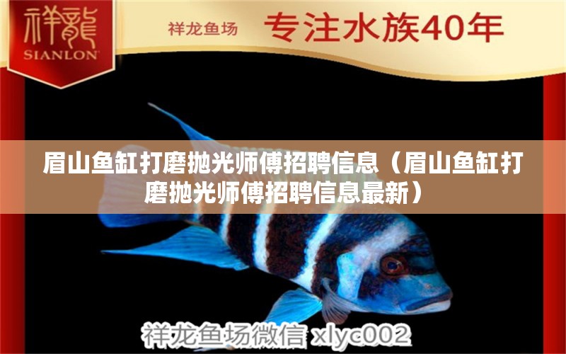 眉山魚缸打磨拋光師傅招聘信息（眉山魚缸打磨拋光師傅招聘信息最新） 觀賞魚市場（混養(yǎng)魚）