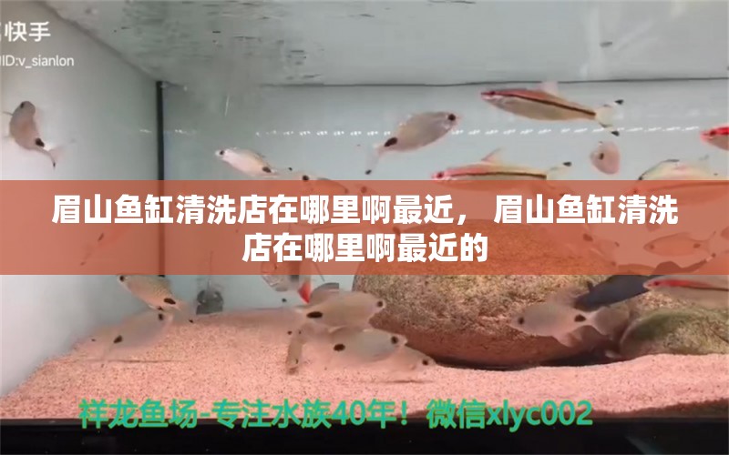 眉山魚缸清洗店在哪里啊最近， 眉山魚缸清洗店在哪里啊最近的 愛龍仕