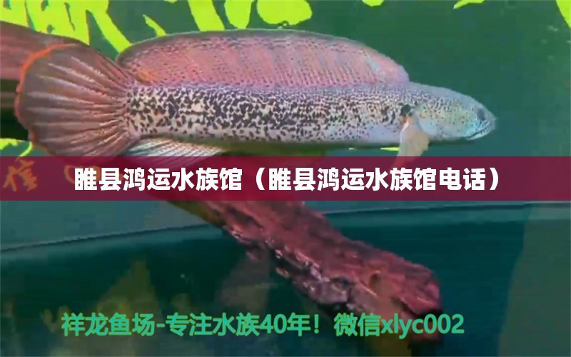 睢縣鴻運(yùn)水族館（睢縣鴻運(yùn)水族館電話）