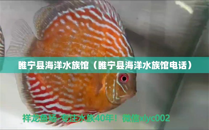 睢寧縣海洋水族館（睢寧縣海洋水族館電話） 全國(guó)水族館企業(yè)名錄