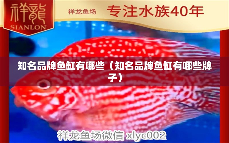 知名品牌魚缸有哪些（知名品牌魚缸有哪些牌子）