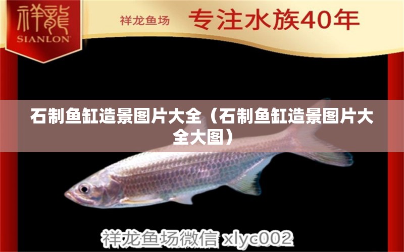 石制魚缸造景圖片大全（石制魚缸造景圖片大全大圖）