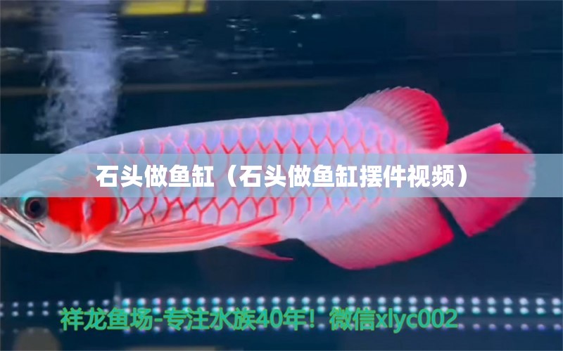 石頭做魚缸（石頭做魚缸擺件視頻） 貓貓