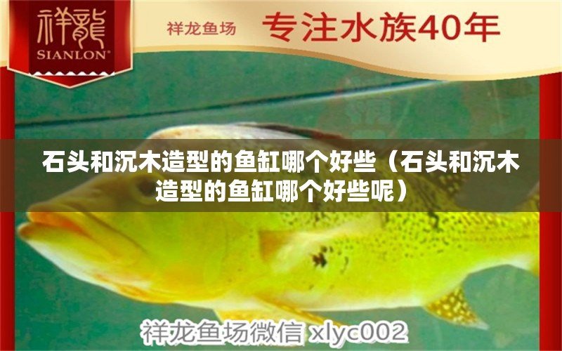 石頭和沉木造型的魚缸哪個好些（石頭和沉木造型的魚缸哪個好些呢）