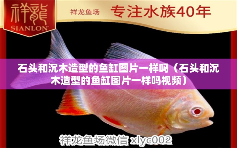 石頭和沉木造型的魚缸圖片一樣嗎（石頭和沉木造型的魚缸圖片一樣嗎視頻）