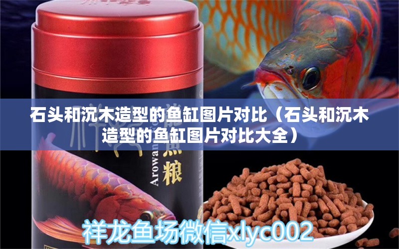 石頭和沉木造型的魚缸圖片對比（石頭和沉木造型的魚缸圖片對比大全）