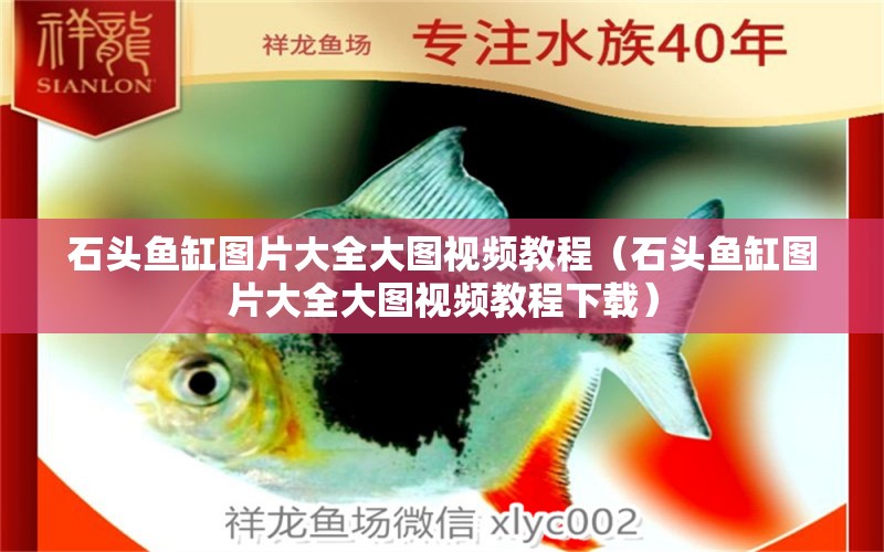 石頭魚缸圖片大全大圖視頻教程（石頭魚缸圖片大全大圖視頻教程下載）