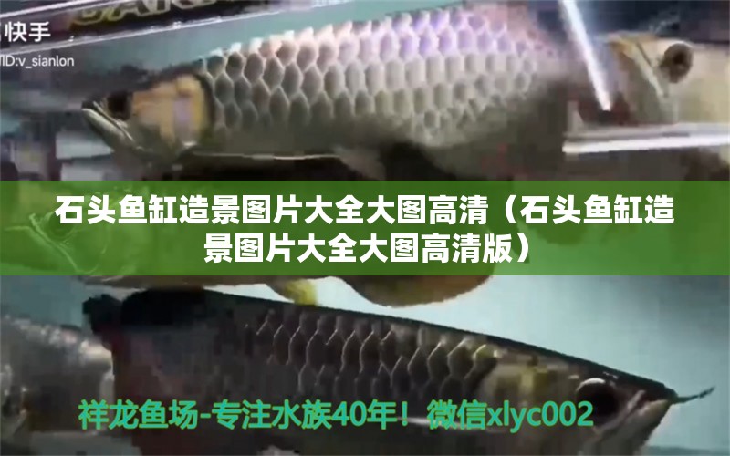 石頭魚缸造景圖片大全大圖高清（石頭魚缸造景圖片大全大圖高清版）