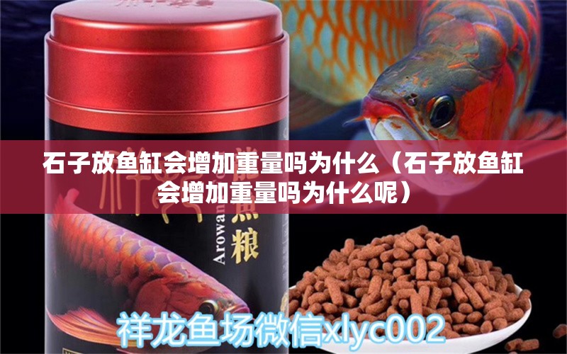 石子放魚(yú)缸會(huì)增加重量嗎為什么（石子放魚(yú)缸會(huì)增加重量嗎為什么呢）