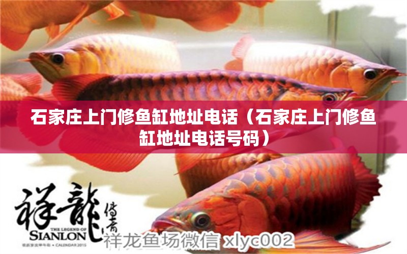 石家莊上門修魚缸地址電話（石家莊上門修魚缸地址電話號(hào)碼）