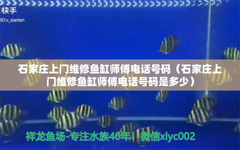 石家莊上門維修魚缸師傅電話號(hào)碼（石家莊上門維修魚缸師傅電話號(hào)碼是多少）