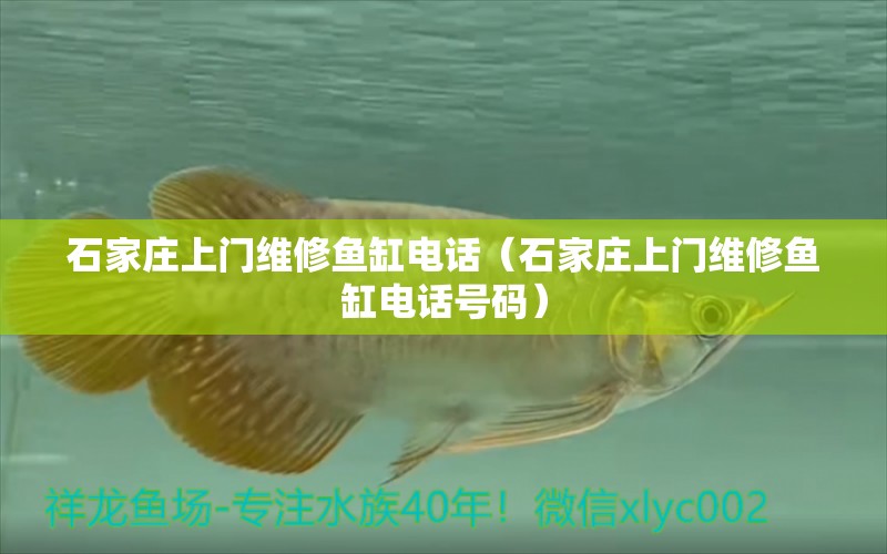 石家莊上門維修魚缸電話（石家莊上門維修魚缸電話號(hào)碼） 其他品牌魚缸