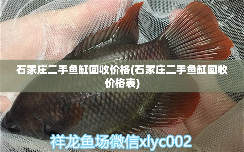 石家莊二手魚缸回收價格(石家莊二手魚缸回收價格表)