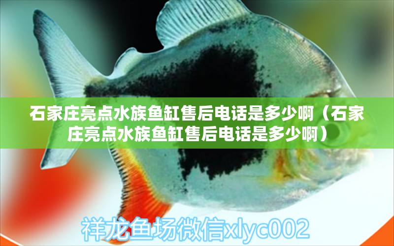 石家莊亮點水族魚缸售后電話是多少?。ㄊ仪f亮點水族魚缸售后電話是多少?。? title=