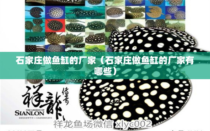 石家莊做魚缸的廠家（石家莊做魚缸的廠家有哪些） 其他品牌魚缸